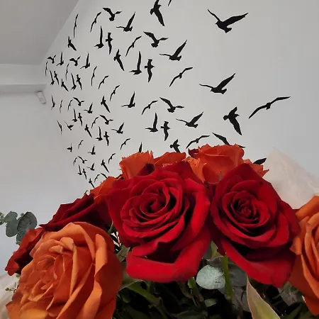 Sophia ヴァマ・ヴェケ