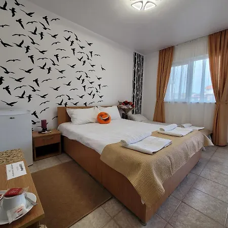 Sophia Guest house