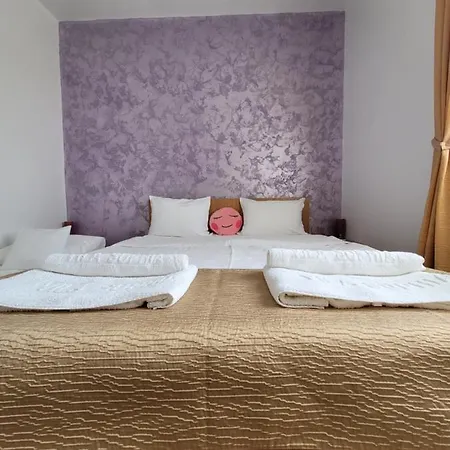 Pensionat Sophia Vama Veche